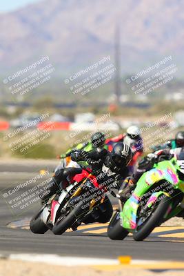 media/Mar-10-2024-SoCal Trackdays (Sun) [[6228d7c590]]/5-Turn 11 (11am)/